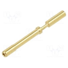 09156006291 09156006291