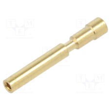 09151006202 09151006202