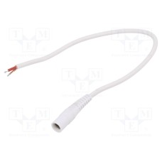 S21-TT-C100-025WH S21-TT-C100-025WH