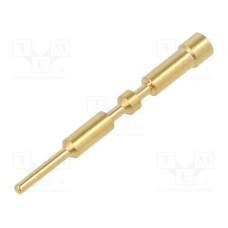 09156006101 09156006101