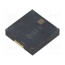 PKLCS1212E24A0-R1 PKLCS1212E24A0-R1