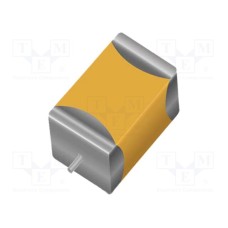 F950J107MAAAQ2 F950J107MAAAQ2