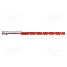 0053900600100 0053900600100