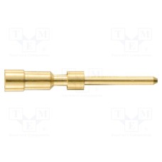 09151006101 09151006101