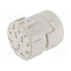 09151123111 09151123111