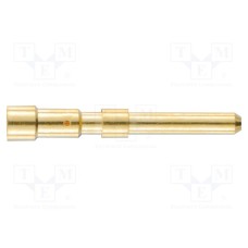 09151006111 09151006111