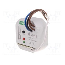 RS-407B