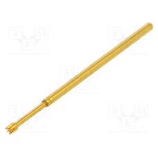 100.07.14.25 100.07.14.25