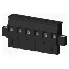 TS06010C0000G TS06010C0000G