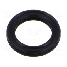 10-007.66X001.78  X-RING  FPM