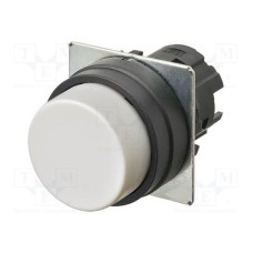 A22NZ-BPA-NWA A22NZ-BPA-NWA