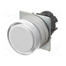 A22NZ-MGM-NWA A22NZ-MGM-NWA