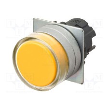 A22NZ-MGM-NYA A22NZ-MGM-NYA