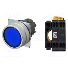 A22NL-MNM-TAA-P100-AC