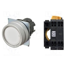 A22NL-MNM-TWA-P100-WC