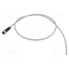 C21320000000039 C21320000000039