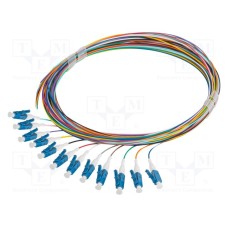 FP-LCUP-SS21-1202-MC