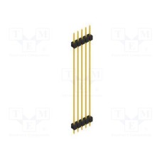 SL55255G