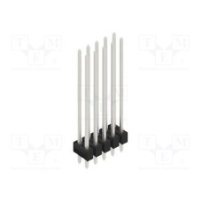 10148704