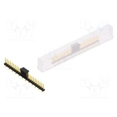 SLLP5SMD06624GBSM