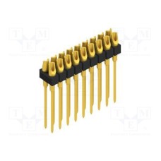 MK21018G MK21018G