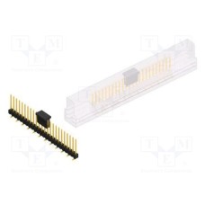 SL10SMD10424GBSM
