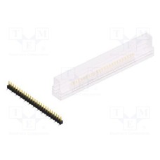 SL10SMD04025SSM