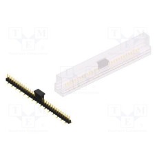 SL10SMD04031GBSM SL10SMD04031GBSM