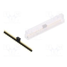 SL10SMD04033GBSM SL10SMD04033GBSM