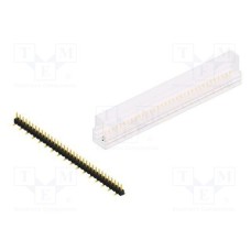 SL10SMD04034GSM SL10SMD04034GSM