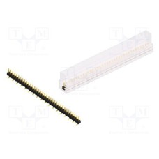 SL10SMD04036GSM SL10SMD04036GSM