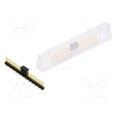 SL10SMD06224GBSM SL10SMD06224GBSM