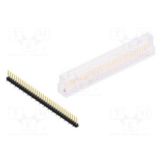 SL10SMD06234SSM