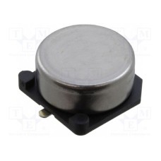 FCS0H224ZFTBR24 FCS0H224ZFTBR24