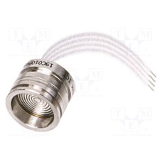 19C100PA8K 19C100PA8K