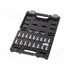 BW923E-FTX/C17 BW923E-FTX/C17