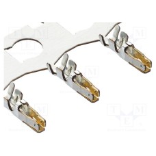 204017-5021 204017-5021