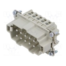 1203900000 1203900000