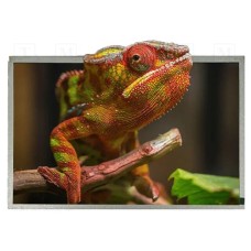 SM-RVT121HVLNWN00 SM-RVT121HVLNWN00