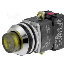 NEF30-WLGXY-24VDC NEF30-WLGXY-24VDC