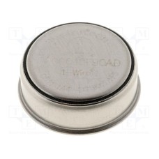 DS1992L-F5+ DS1992L-F5+