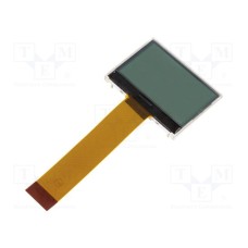 RX12864C2-FHW RX12864C2-FHW