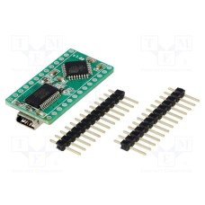 MINI-AT BOARD - 3.3V