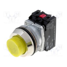 NEF30-WGXY NEF30-WGXY