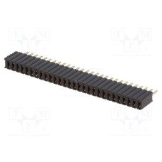 DS1065-07-1*28S8BV