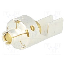 09080007123 09080007123