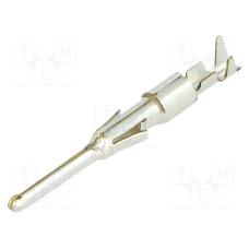 VN0101600031 VN0101600031