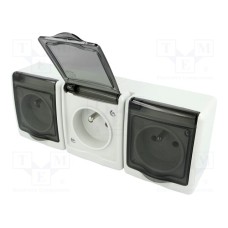 D.3614GGG/1 D.3614GGG/1