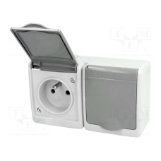 D.3612SGG/1 D.3612SGG/1