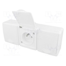 D.3114BGGG/1 D.3114BGGG/1